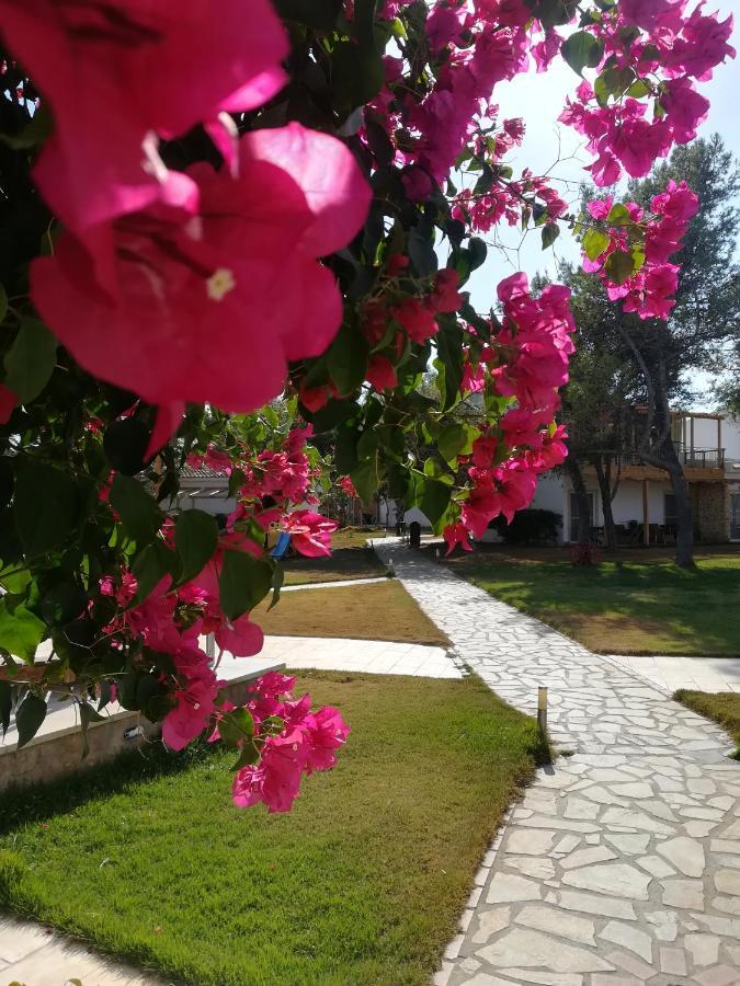 Marzi Beach And Bungalows Hotel Kokkónion Buitenkant foto